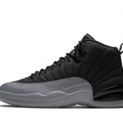 Air Jordan 12